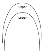 archform-bioform-3 (1)